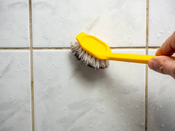 Best Same-Day Mold Removal  in Hancock, MD